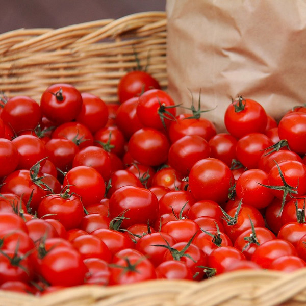 視頻代理設(shè)備-準備